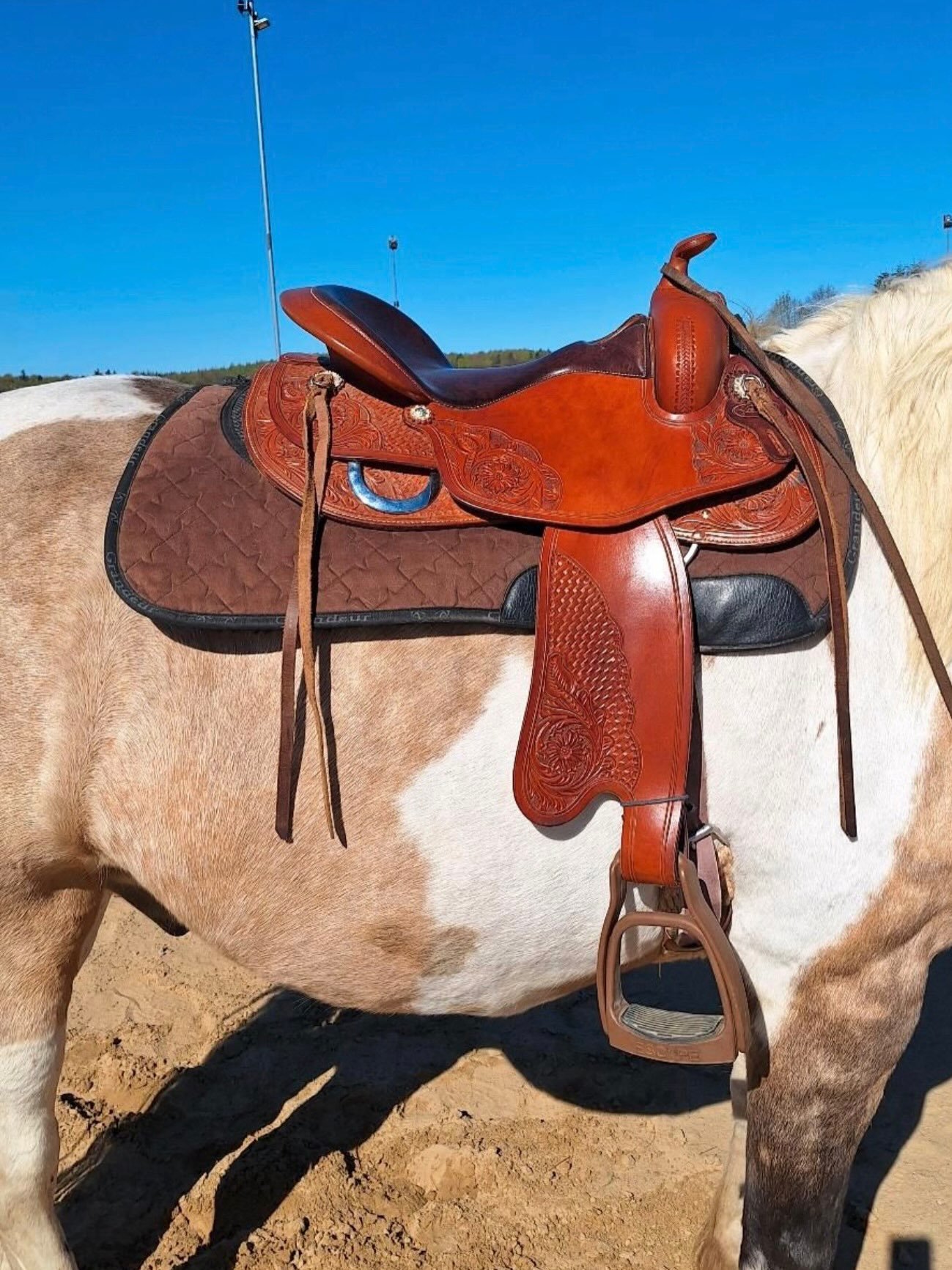 Selle Western Freemax Round Cow