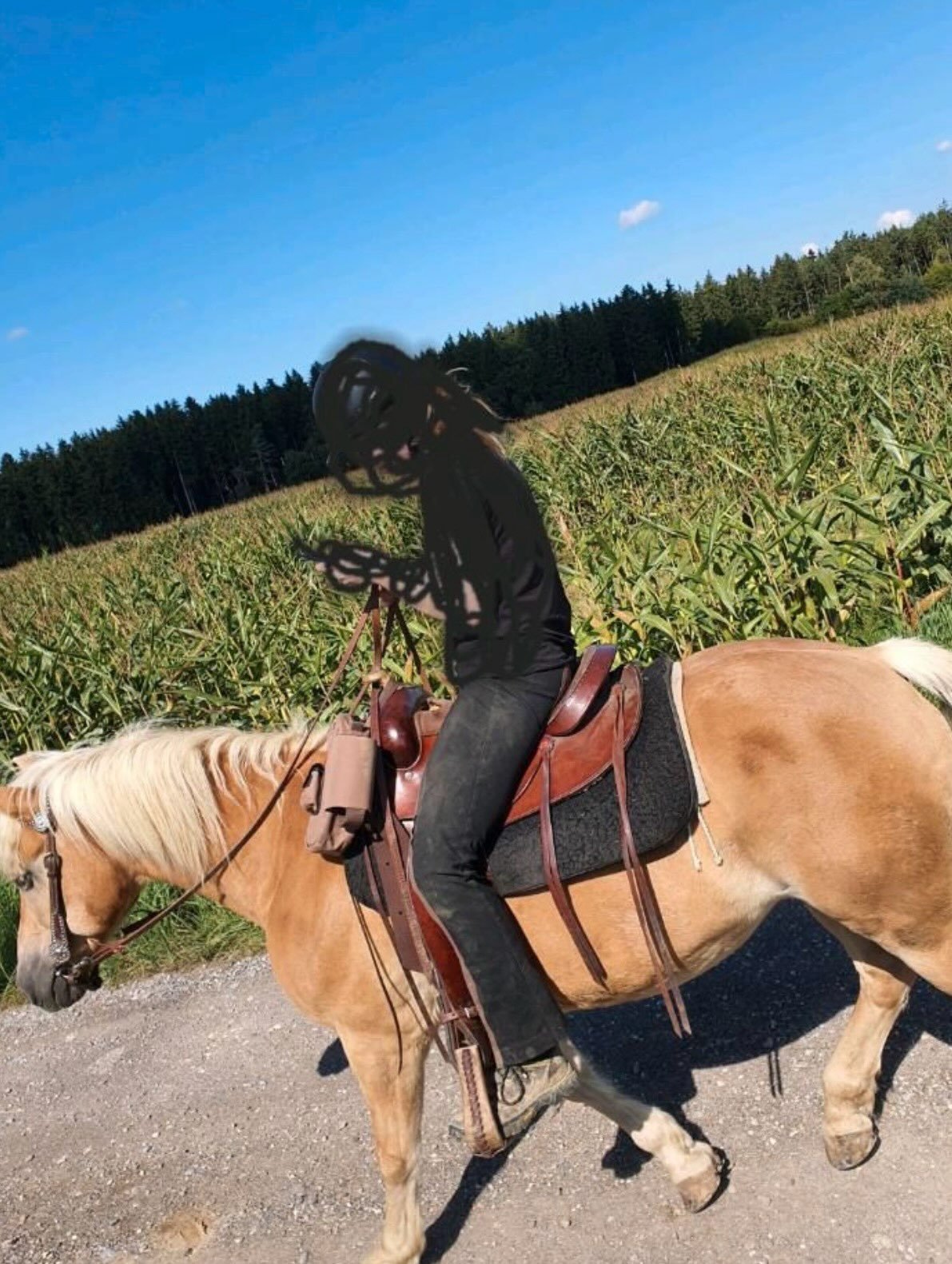 Selle Western Deuber & Partner