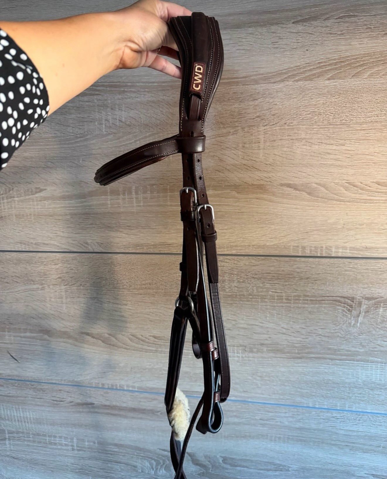 Bridon Cwd En Cuir – Excellent État